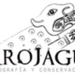 Barro Jaguar